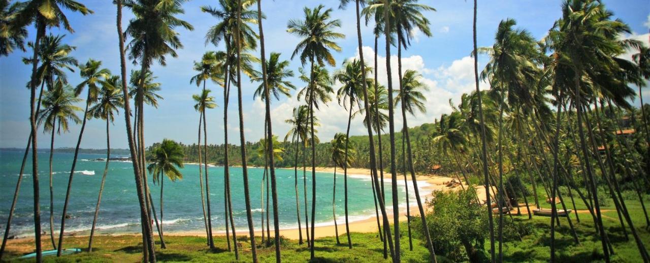 Sandaru Holiday Resort เวลิกามา ภายนอก รูปภาพ
